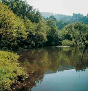 Imagen del río Castaños