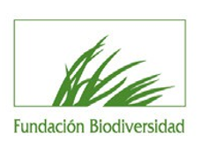 fundacionlogo
