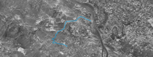 ria1955
